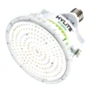 HyLite LED Light Bulb (00092)