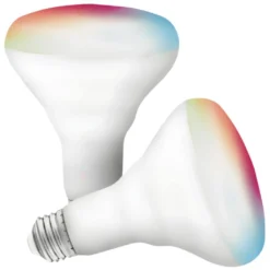 Satco LED Light Bulb (2 Pack) (11256)