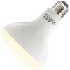 Bulbrite LED Light Bulb (196110)