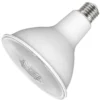 Satco LED Flood Light Bulb (21050)