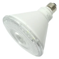 TCP LED Light Bulb (24824)