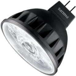 Philips LED Reflector Flood Retrofit (479139)