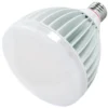 Keystone LED Light Bulb (49014)