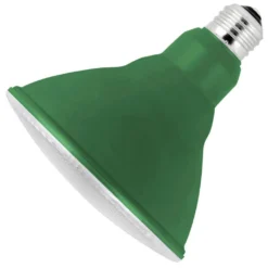 Feit Electric LED Light Bulb (54328)