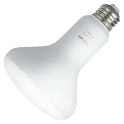 Philips LED Light Bulb (548511)