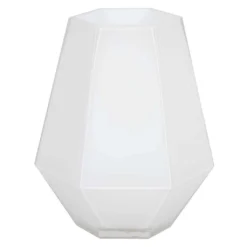 Vickerman Vase (583050)