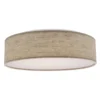 Nuvo LED Ceiling Light Fixture (62985)