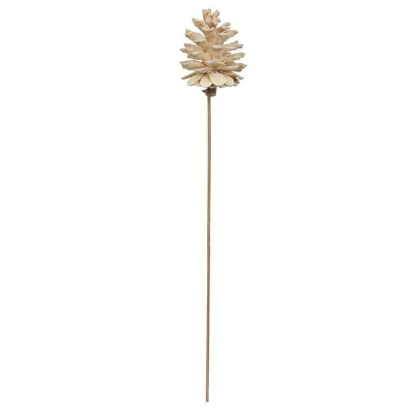 Vickerman Preserved Foliage (50 Pack) (679753) 2 Vickerman Preserved Foliage (50 Pack) (679753) - Image 2