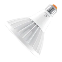 Green Creative LED Reflector Flood (37025)